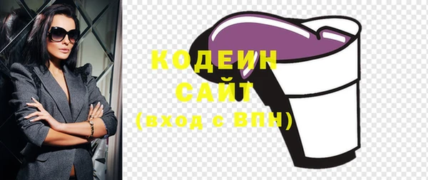 молекула духа Медвежьегорск