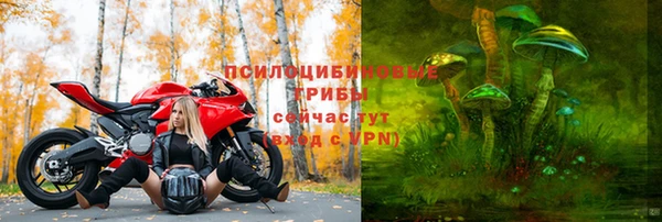 крисы Арсеньев